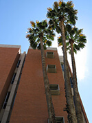 Beautiful university architecture, from Sears Gerbo